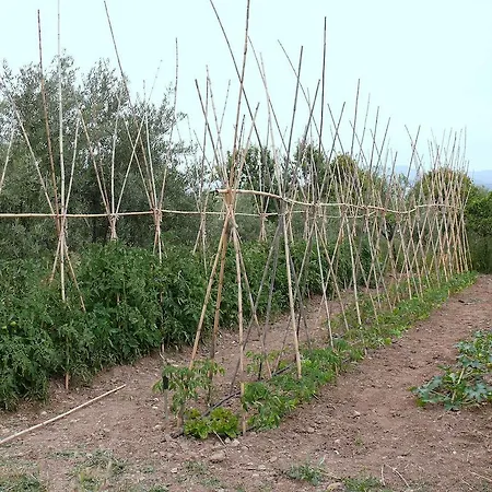 Country house Cortijo Algabia *
