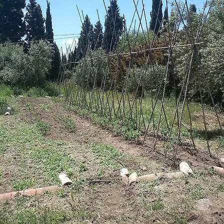 Landhuis Cortijo Algabia